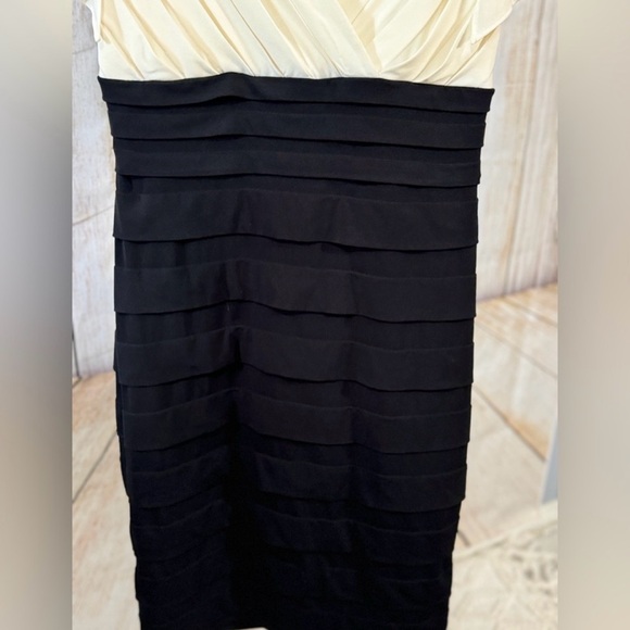 Elegant Cream and Black Dress - Picture 4 of 8